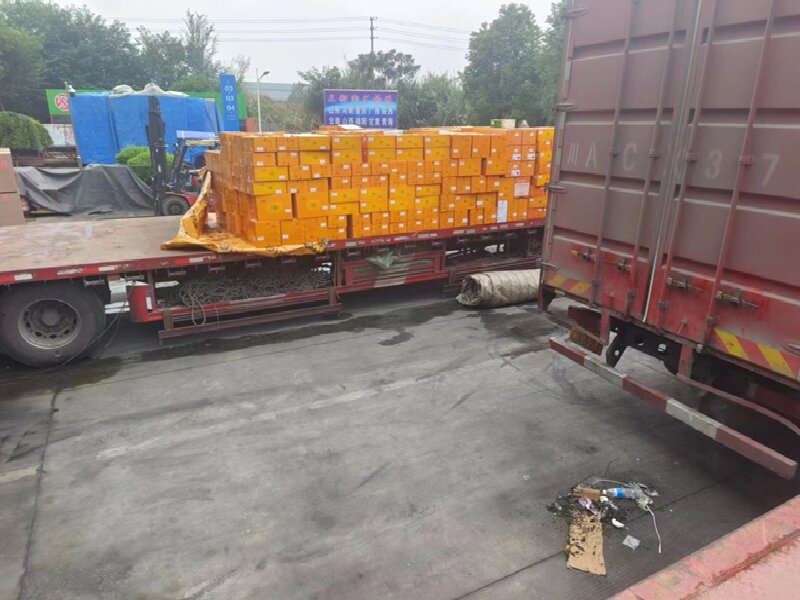 蘇州至武岡物流公司